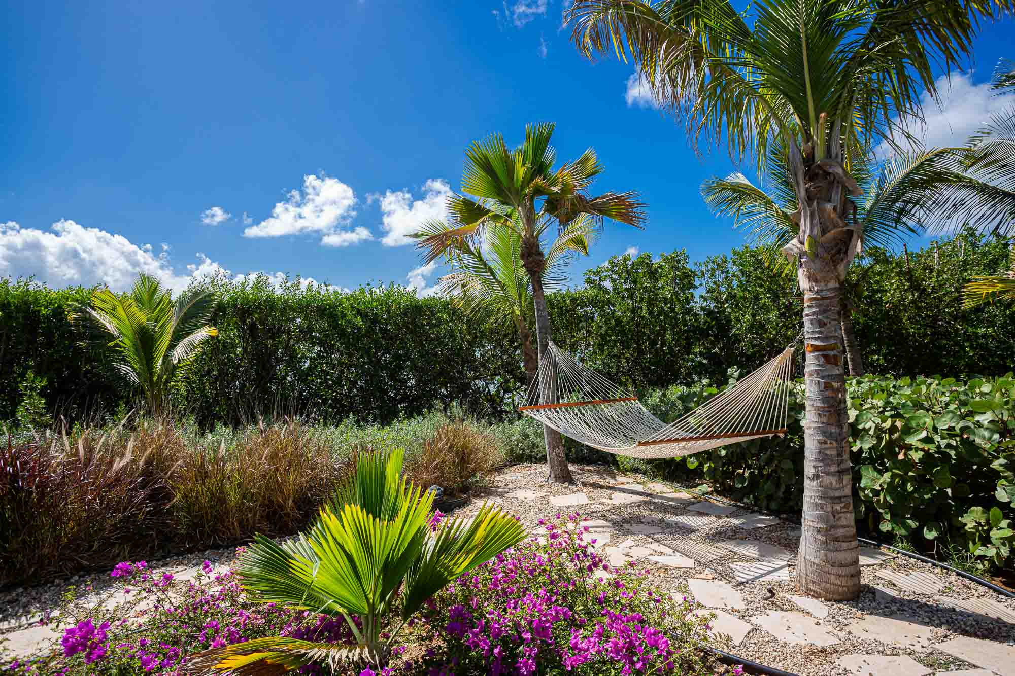 Tropical gardens at Seabird Villa